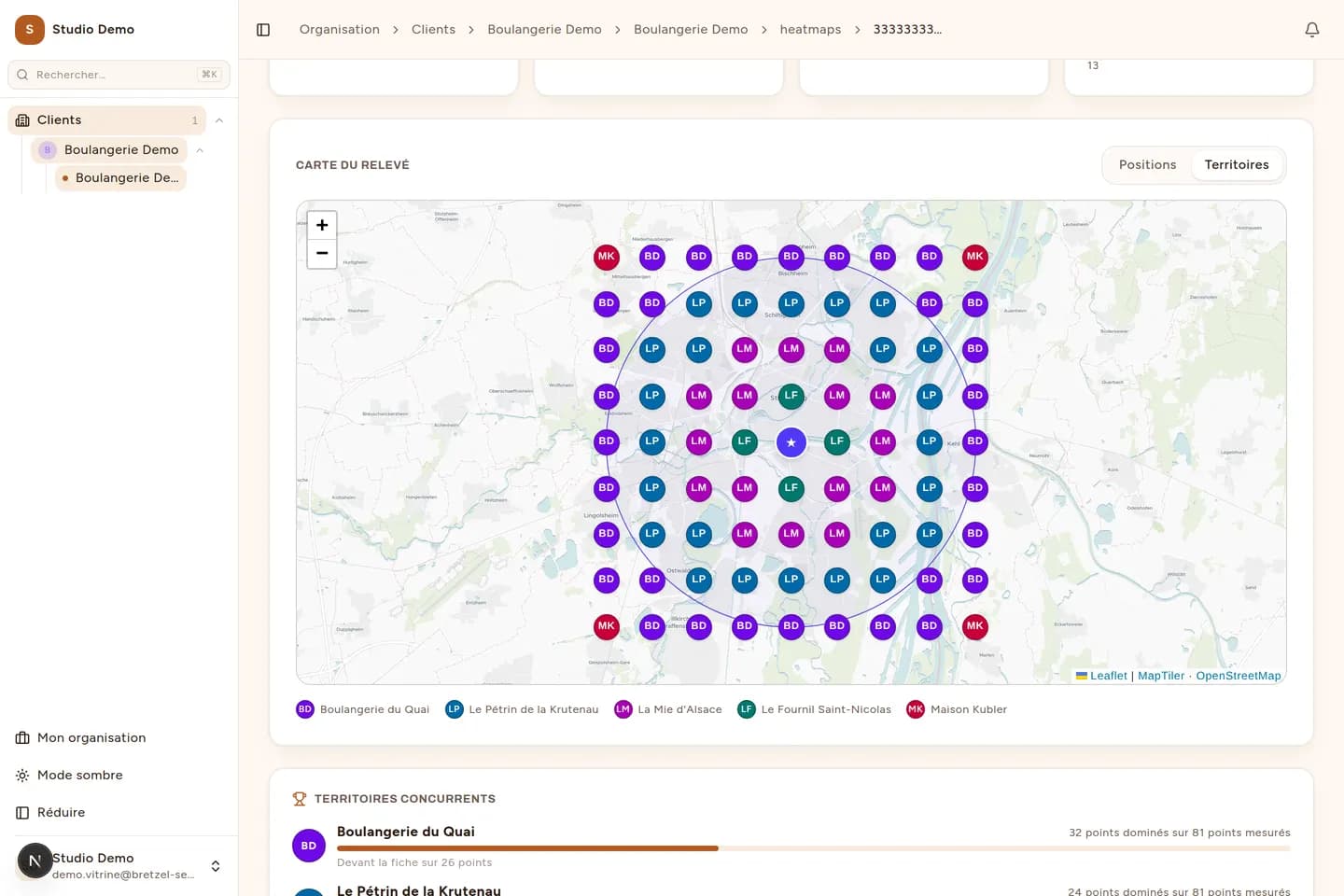 Couche Territoires de la carte Bretzel SEO : chaque point de la grille porte l’initiale du concurrent qui occupe la première place à cet endroit